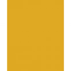 Mustard Made Mustard Made The Twinny In Mustard