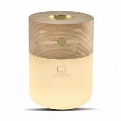 Gingko Smart Diffuser Usb Desk Table Lamp In White Ash Wood