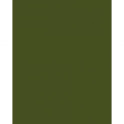 Mustard Made The Shorty In Olive To The Left