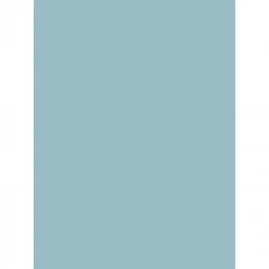 Mustard Made Mustard Made The Skinny In Ocean