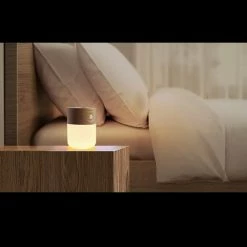 Gingko Smart Rechargeable Diffuser Light