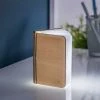 Gingko Smart Book Light Mini Wallnut