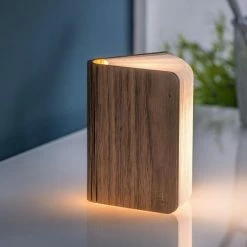 Gingko Smart Book Light Mini