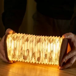 Gingko Velvet Accordion Lamp Brown Zebra