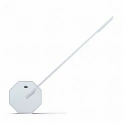 Gingko Octagon One Table Desk Lamp In Walnut