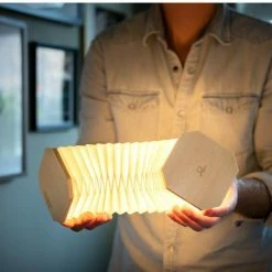 Gingko Accordion Lamp
