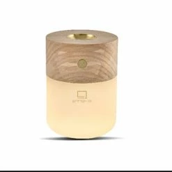 Gingko Smart Rechargeable Diffuser Light