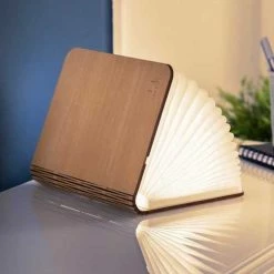Gingko Smart Book Light Mini Wallnut