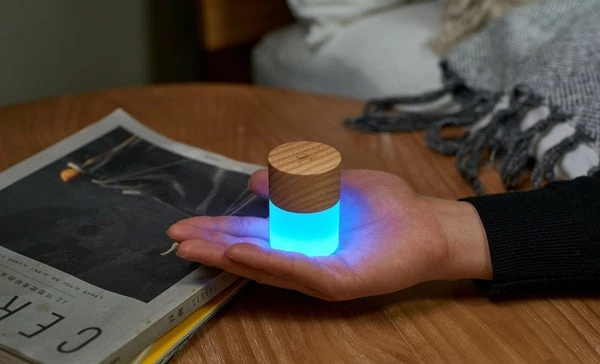 Gingko Lemelia Light White Ash 1 Gingko Lemelia Light White Ash