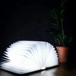 Gingko Walnut Led Smart Book Light Lamp