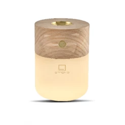 Gingko Smart Diffuser Lamp
