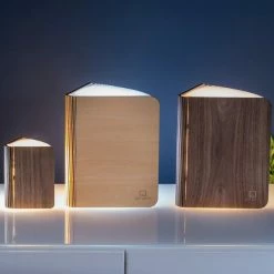 Gingko Smart Book Light