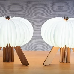 Gingko The R Space Lamp 10 Gingko The R Space Lamp