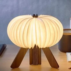Gingko The R Space Lamp