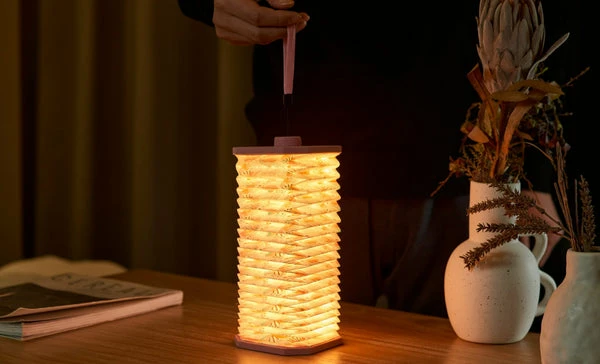 Gingko Velvet Accordion Lamp Pink Floral 4 Gingko Velvet Accordion Lamp Pink Floral