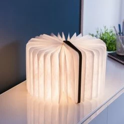 Gingko Smart Book Light