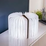 Gingko Mini Maple LED Smart Book Light 4 Gingko Mini Maple LED Smart Book Light