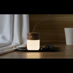 Gingko Smart Rechargeable Diffuser Light