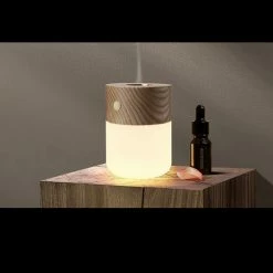 Gingko Smart Rechargeable Diffuser Light