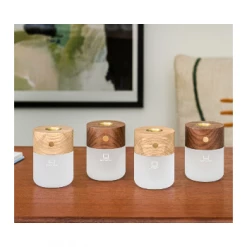 Gingko Smart Diffuser Lamp