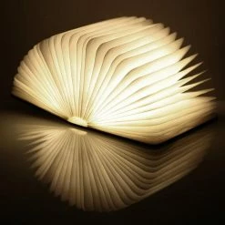 Gingko Smart Book Light