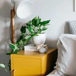 Mustard Made The Shorty Locker In Mustard