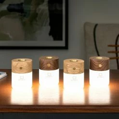 Gingko Smart Diffuser Lamp