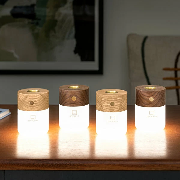 Gingko Smart Diffuser Lamp 1 Gingko Smart Diffuser Lamp