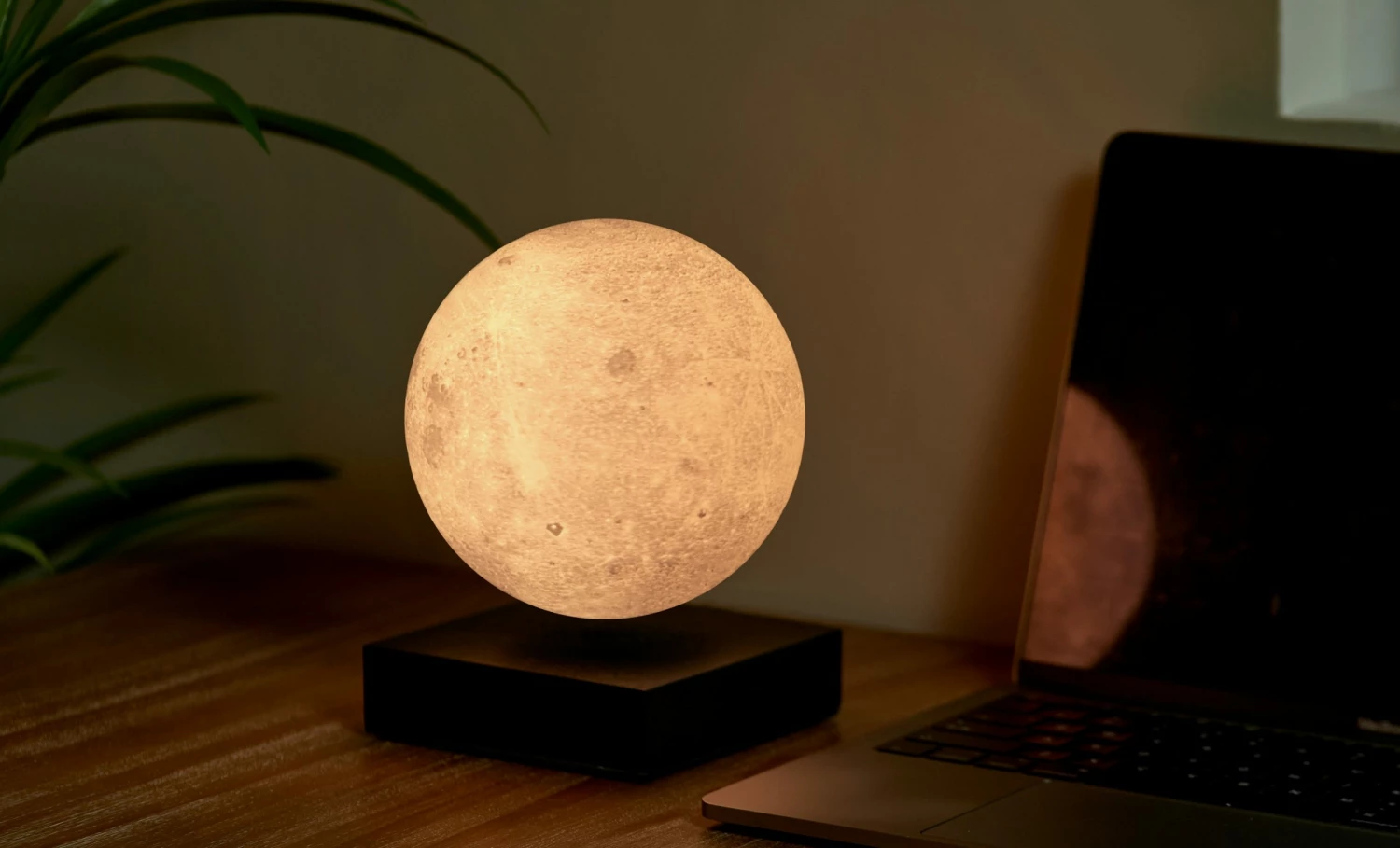 Gingko Black Smart Moon Lamp 5 Gingko Black Smart Moon Lamp