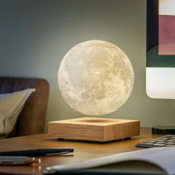 Gingko White Ash Smart Moon Lamp