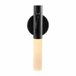 Gingko Black Smart Baton Light