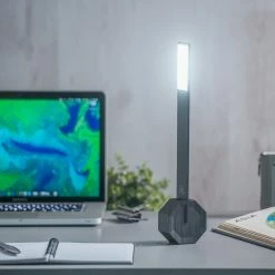 Gingko Black Octagon One Desk Lamp