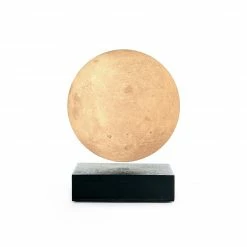 Gingko Black Smart Moon Lamp