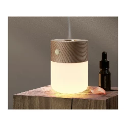 Gingko Smart Diffuser Lamp